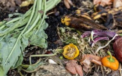Greenfinger Tips Gardening Club – Composting – Thursday 5 October 7.30pm