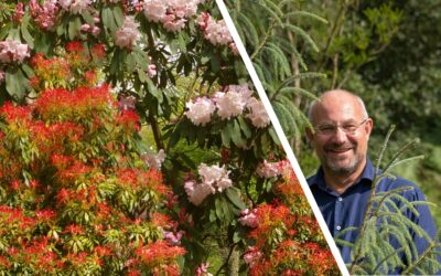 John Grimshaw, MBE talking to Green Finger Tips Gardening Club