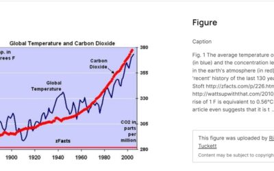 Report of Community Climate Action Group – Saturday Social 24 February 2024