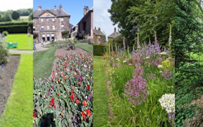 Garden Visit – Ormesby Hall
