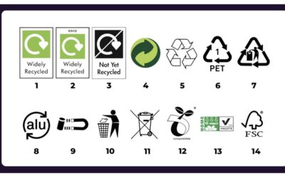 Learn More About How to Recycle Your Waste